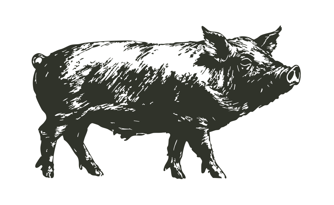 Catering med helstegt pattegris på Sjælland